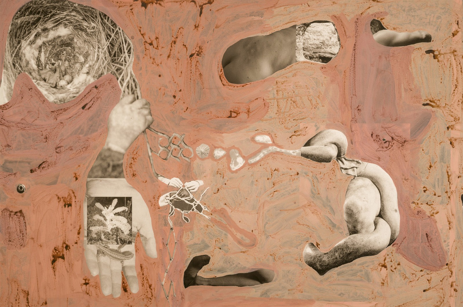 圖十二、《地勢 (關于時間，關于身體)》 (細節(jié)圖)，O?zlem Alt?n，2019